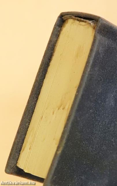 Az öreg Szeged (minikönyv)