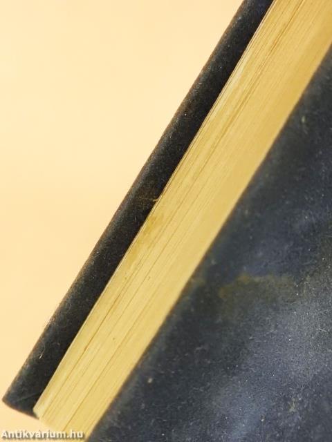 Az öreg Szeged (minikönyv)