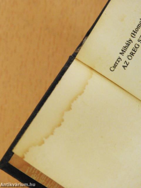 Az öreg Szeged (minikönyv)