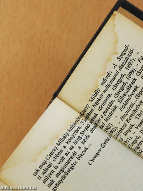 Az öreg Szeged (minikönyv)