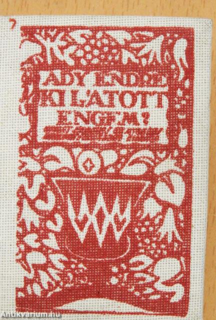 Ki látott engem? (minikönyv)