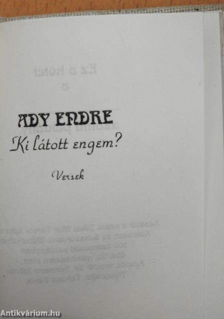 Ki látott engem? (minikönyv)