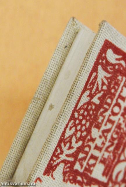 Ki látott engem? (minikönyv)