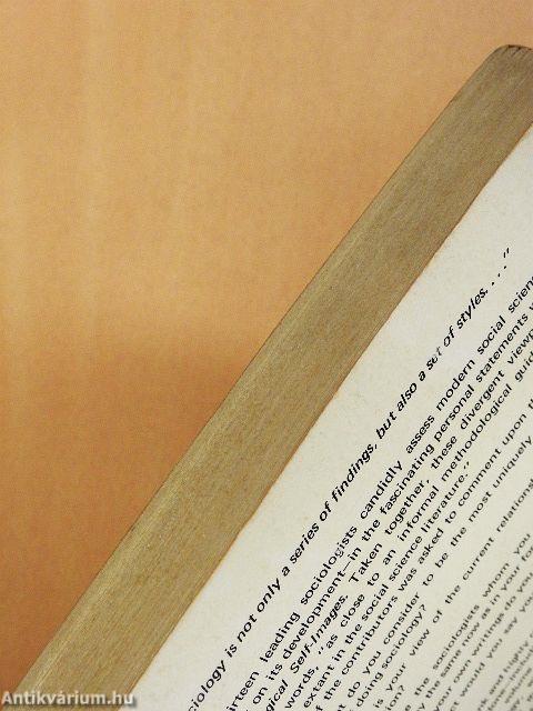 Sociological Self-Images