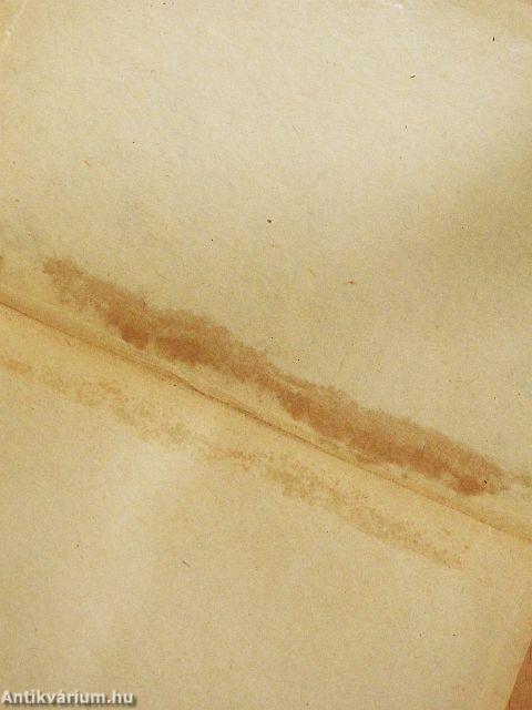 A vizsgálóbiró és egyéb elbeszélések