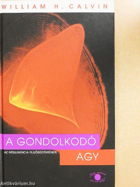 A gondolkodó agy