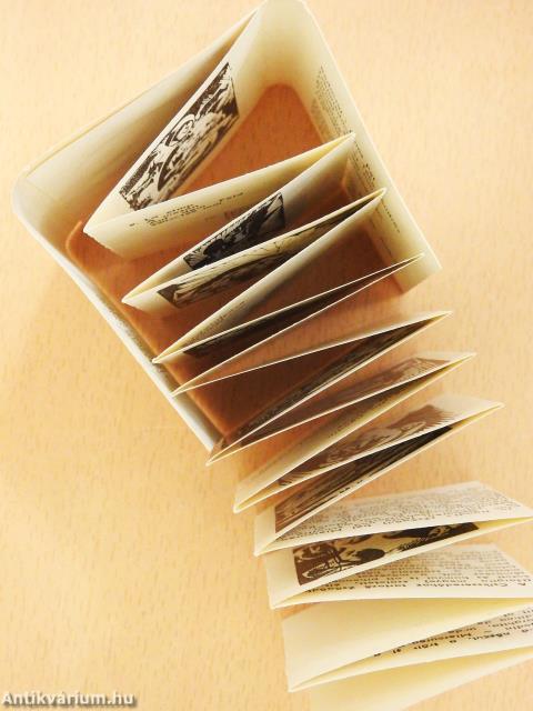 Nagy Imre - Fametszetek (minikönyv)