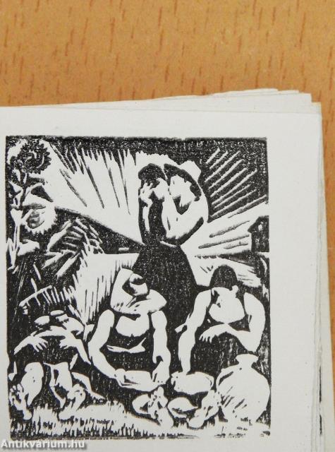 Nagy Imre - Fametszetek (minikönyv)