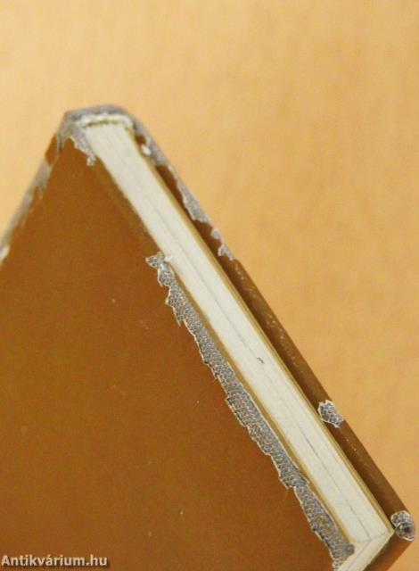 Ki nyer ma? (minikönyv) (számozott)