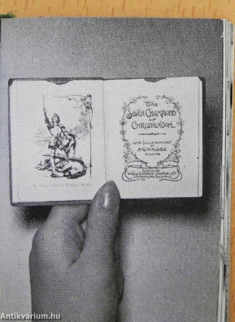 A nemzetközi miniatűrkönyv gyűjtés helyzete és lehetőségei (minikönyv) (számozott)