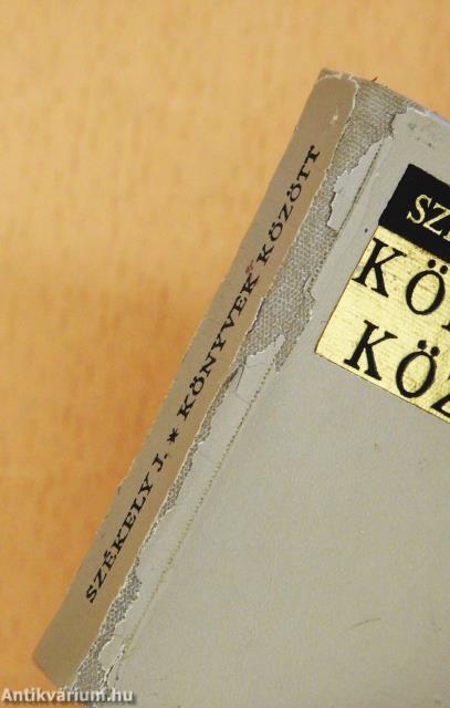 Könyvek között (minikönyv)