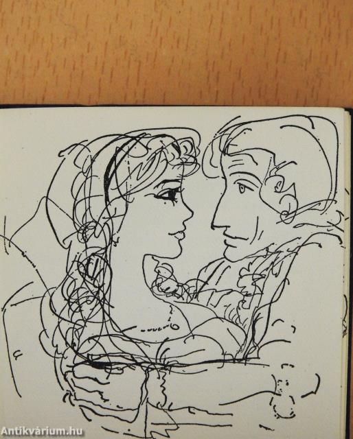 A napló (minikönyv)