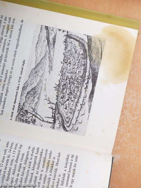 A "Tündérkert" romlása