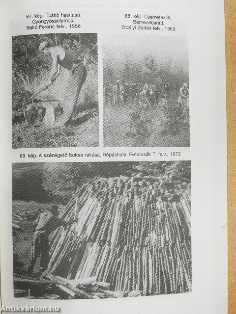 Az erdő az Északi-középhegység paraszti gazdálkodásában (XVIII-XX. század)