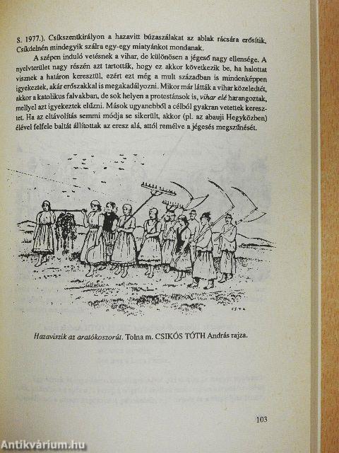 A magyar gabonatermelés néprajza