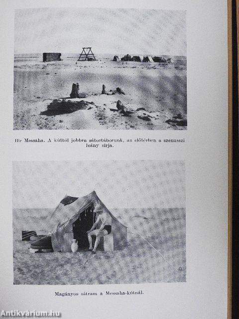 Az ismeretlen Szahara