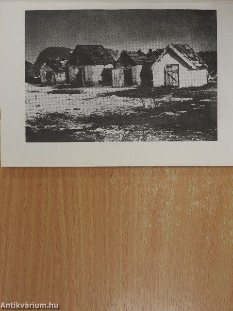 A hagyományos állattartás története című konferencián elhangzott előadások