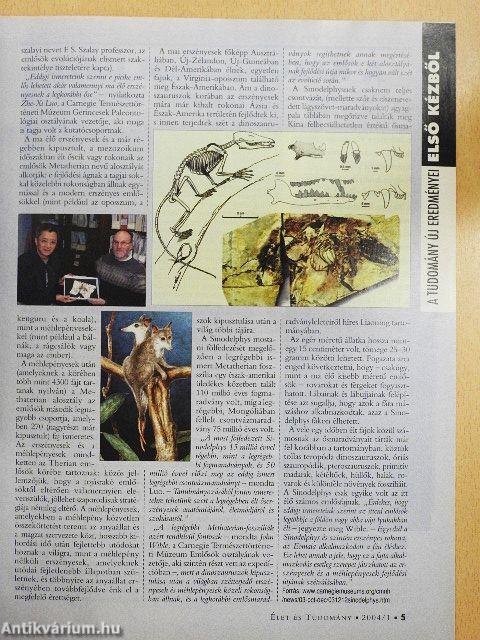 Élet és Tudomány 2004. (nem teljes évfolyam)