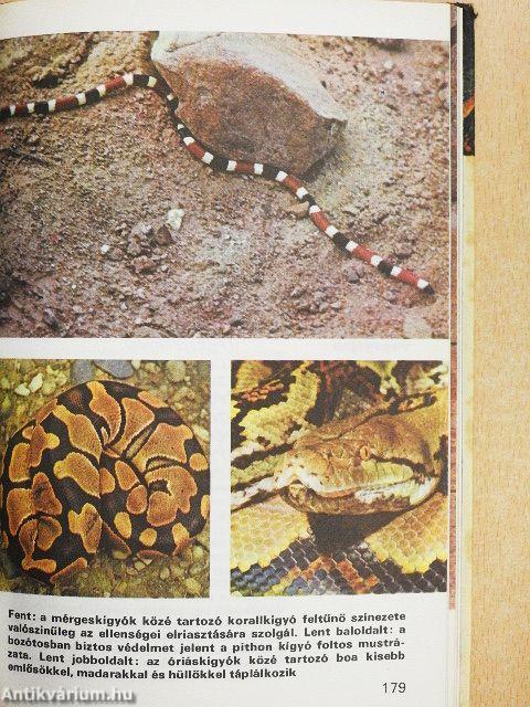 Az állatvilág titkai