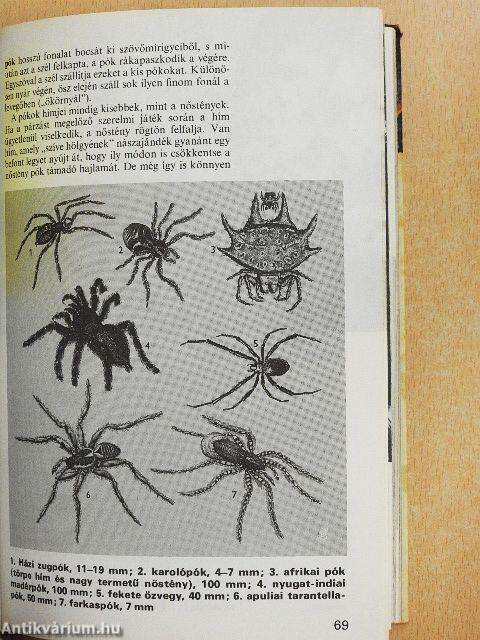 Az állatvilág titkai