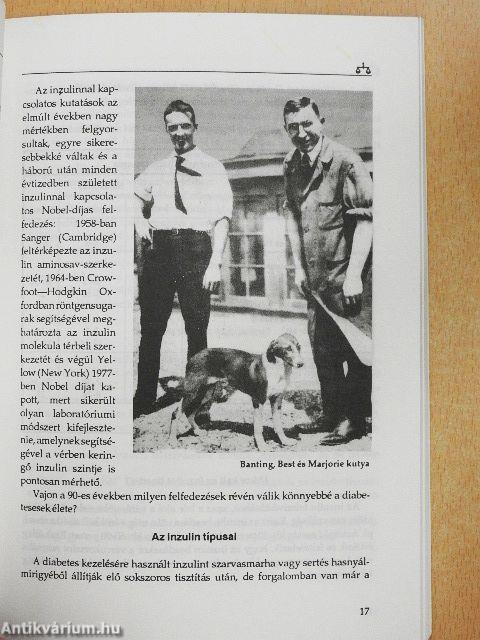 Gyermek- és fiatalkori cukorbetegség