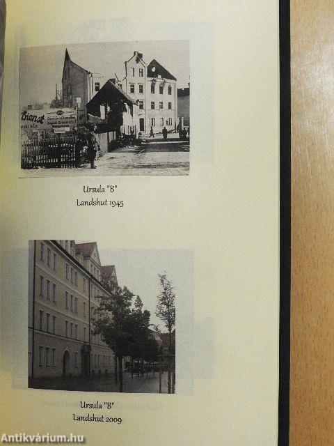 Gránátosként a Hunyadi Hadosztályban 