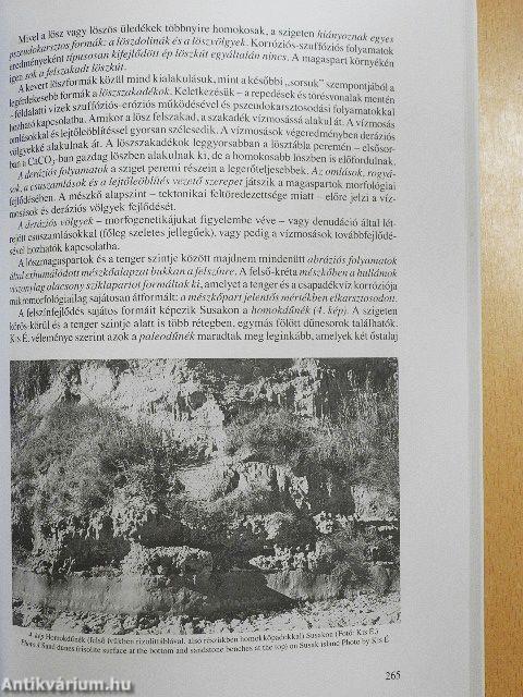 Földrajzi Közlemények 2013/3.