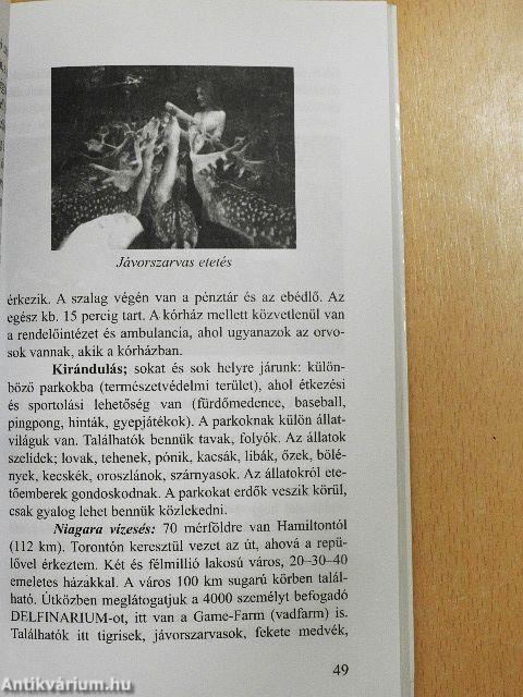 Az ámulat hullámhosszán