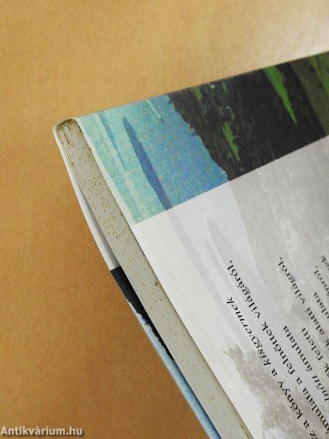 Az ámulat hullámhosszán