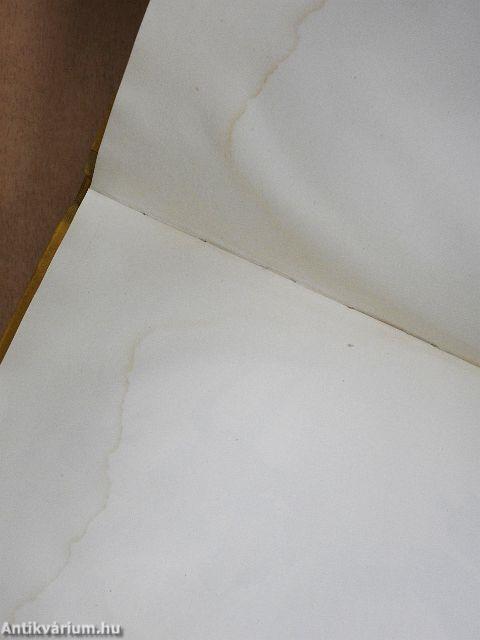 Indian Two Feet and His Horse