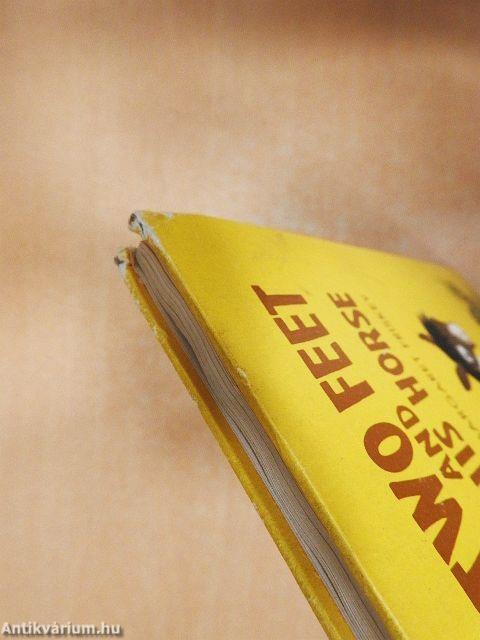 Indian Two Feet and His Horse