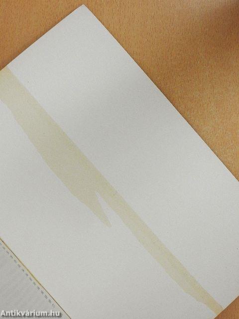 A szöveg vonzásában II.