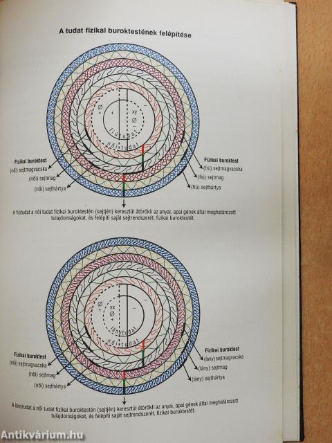 Őssejtjeim beszélnek... (dedikált példány)