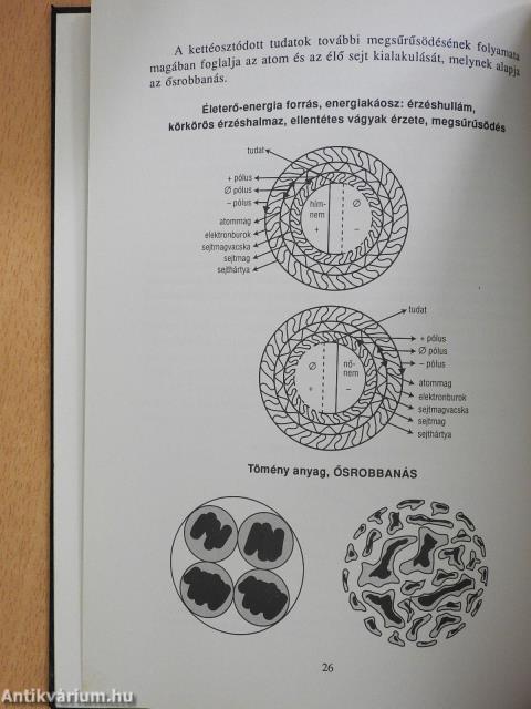 Őssejtjeim beszélnek... (dedikált példány)