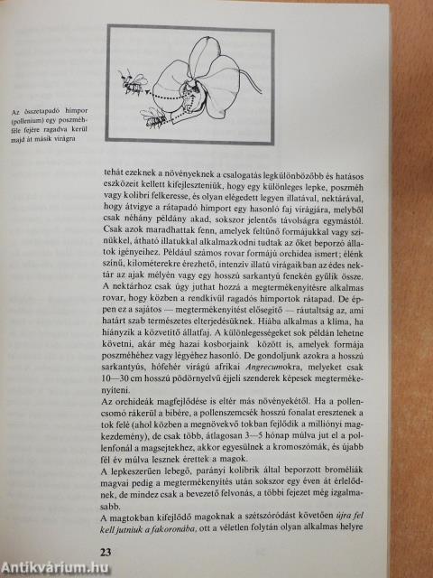 Orchideák és broméliák (aláírt példány)