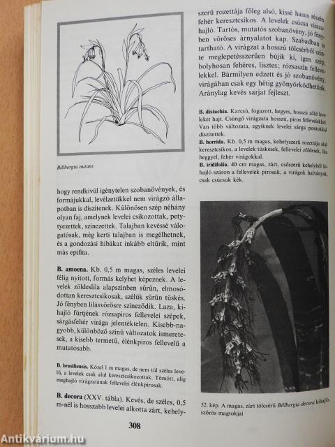 Orchideák és broméliák (aláírt példány)