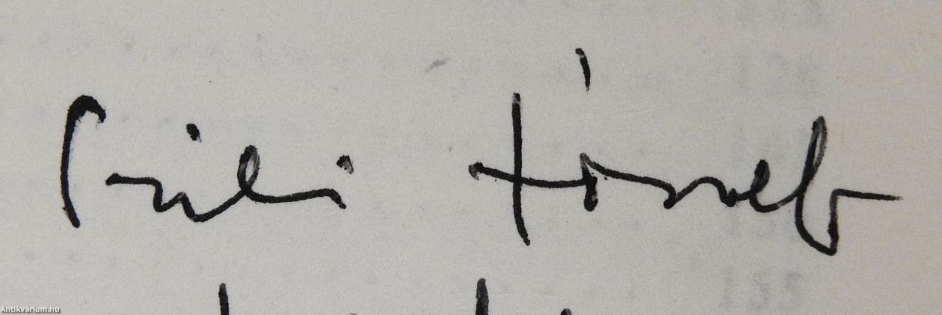 A művészi visszatükrözés szerkezete (dedikált példány)