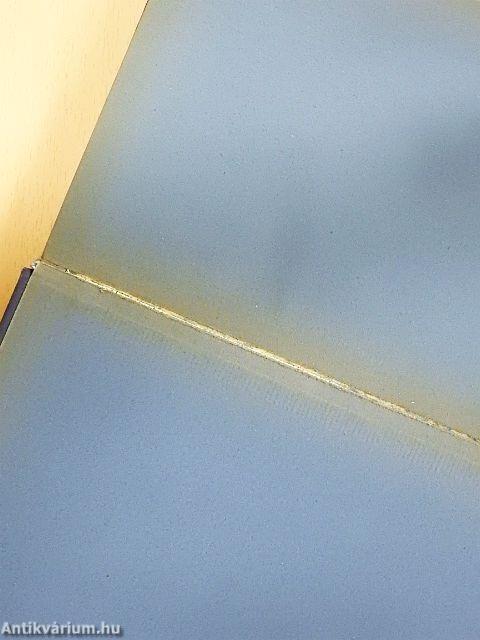 Egy világjáró emlékeiből