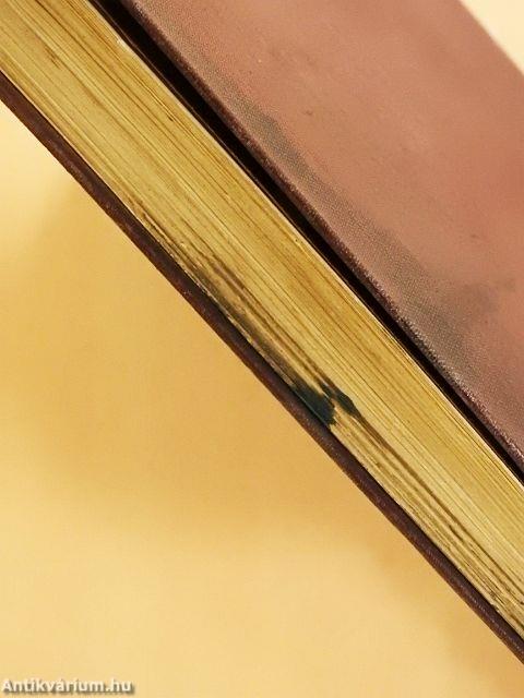 A pénz legendája/Gányó Julcsa