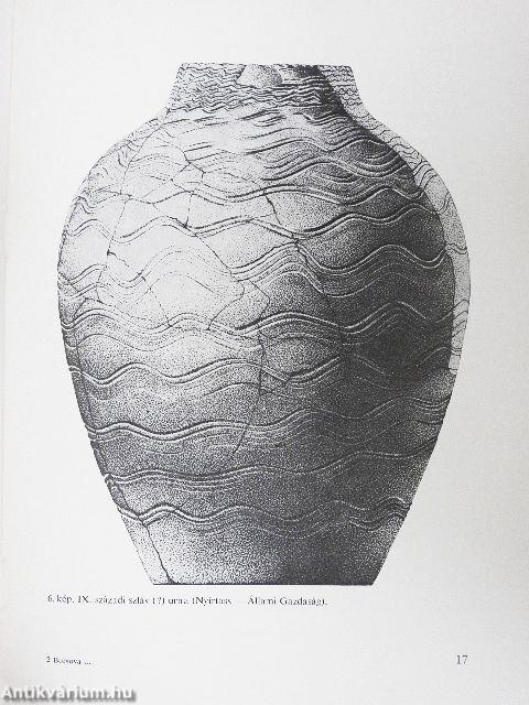 Borsova határvármegye kialakulása