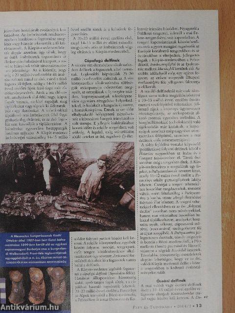 Élet és Tudomány 2004. (nem teljes évfolyam)