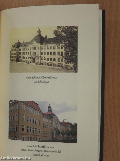 Gránátosként a Hunyadi Hadosztályban 