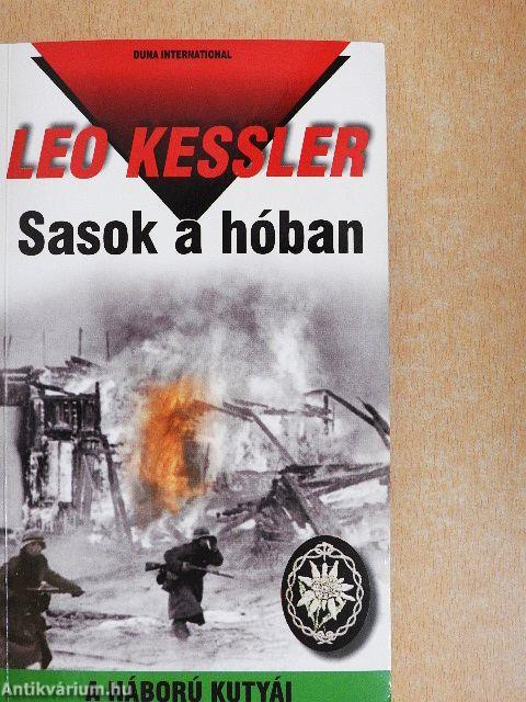 Sasok a hóban