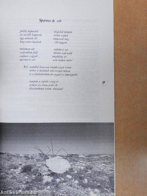 Hatodik síp 1998/1.