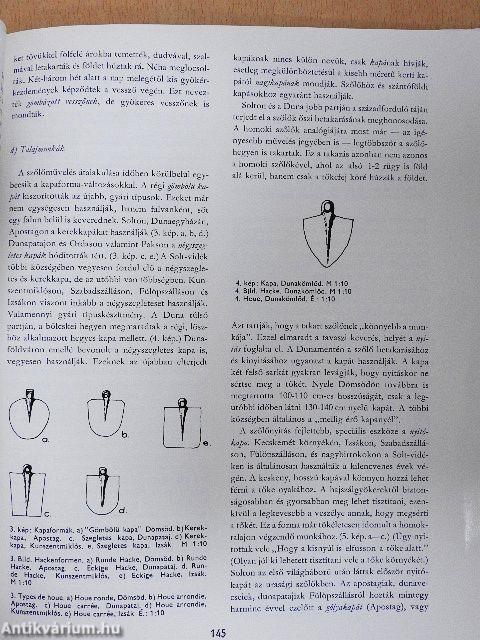 A szőlőművelés átalakulása a századfordulón a Solt-vidéken