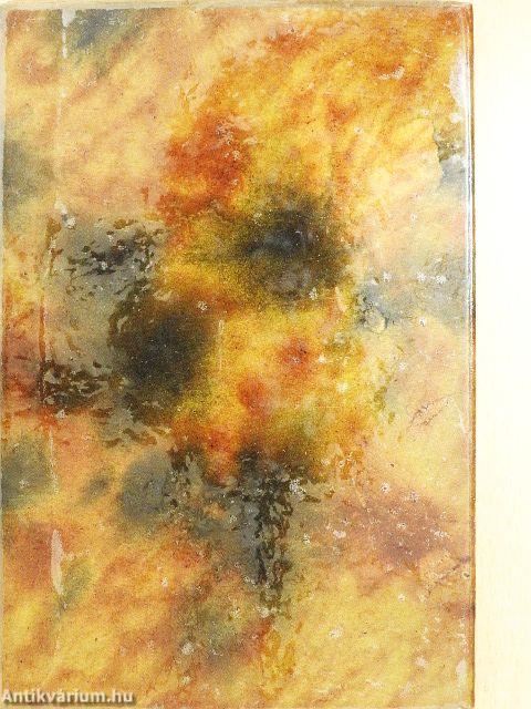 Descartes emlékezete