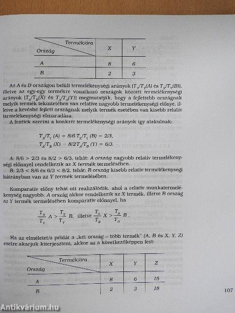 A nemzetközi gazdaságtan és a világgazdaságtan alapjai