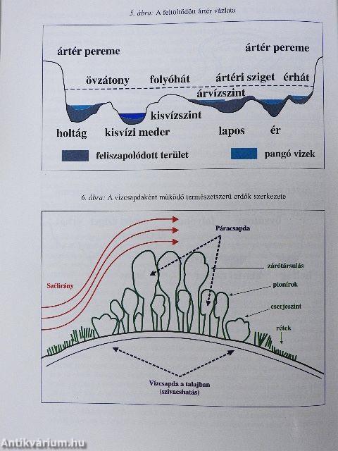 A Tisza vízgyűjtője, mint komplex vizsgálati és fejlesztési régió