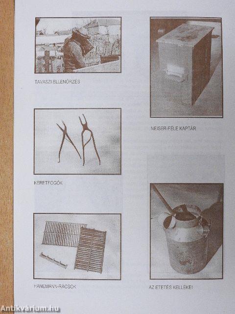 Méhészkedés a Tisza mentén