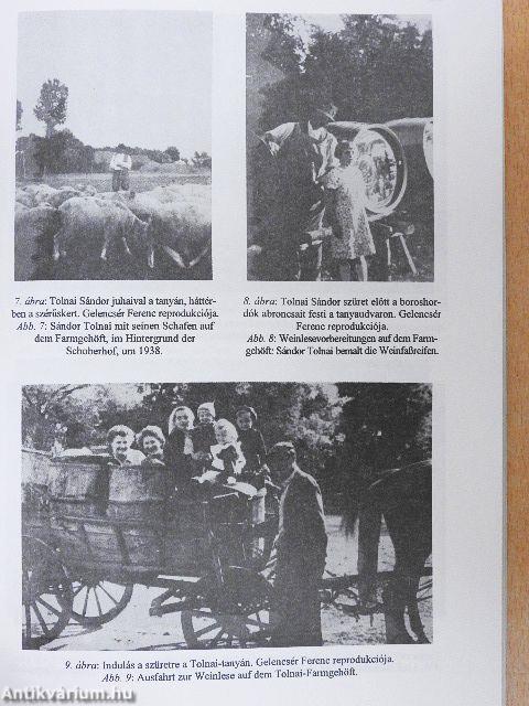 A mezőföldi tanyák néprajza